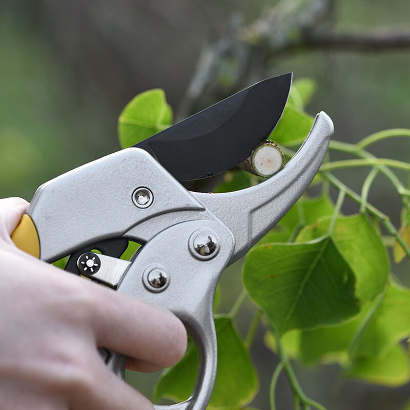 Secateur Lame En Acier Secateur Avec Poignees Ergonomiques Jardinage Ciseaux Elagage Bonsai Coupe De Jardinage Trousse D'Outils