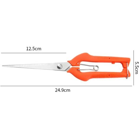 Sécateur, outils de jardin pour potager et jardinage, bonsaï, menuiserie professionnelle, acier inoxydable, cueillette de fruits, pointes acérées, PP-AquaForge