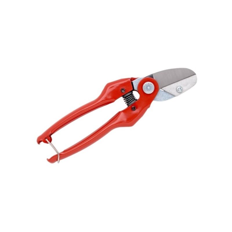 Sécateur pour la coupe de bois sec et dur 220mm P138-22-F - Bahco