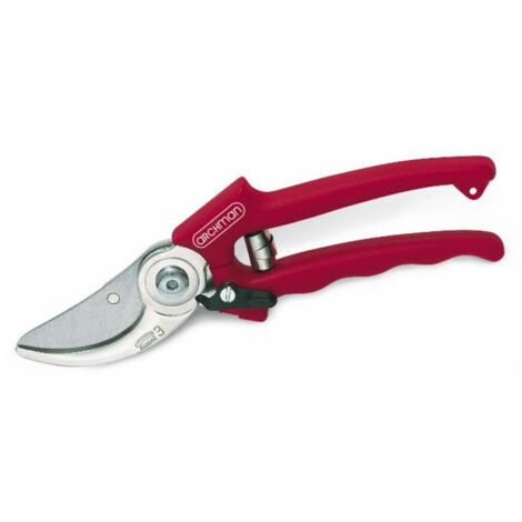 Sécateur professionnel d'élagage L 210 mm coupe Ø 24 mm