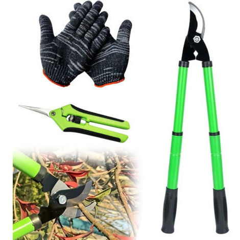 Sécateur télescopique, ciseaux de jardin, coupe-branches avec sécateur à raisin et gants, pour branches, haies, taille de jardinage, 42-61 cm