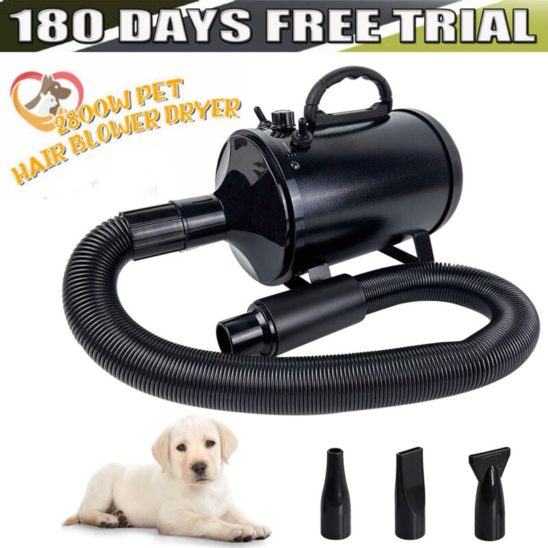 Dayplus - Sèche-cheveux Animaux de compagnie Sèche-cheveux pour chiens Sèche-cheveux à grande vitesse