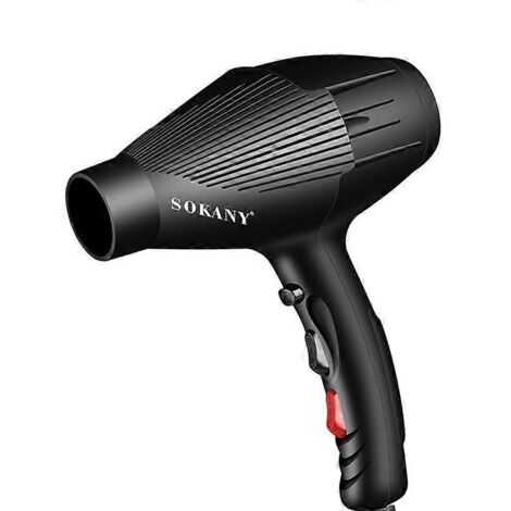 Sèche-cheveux électrique puissant avec prise européenne ---