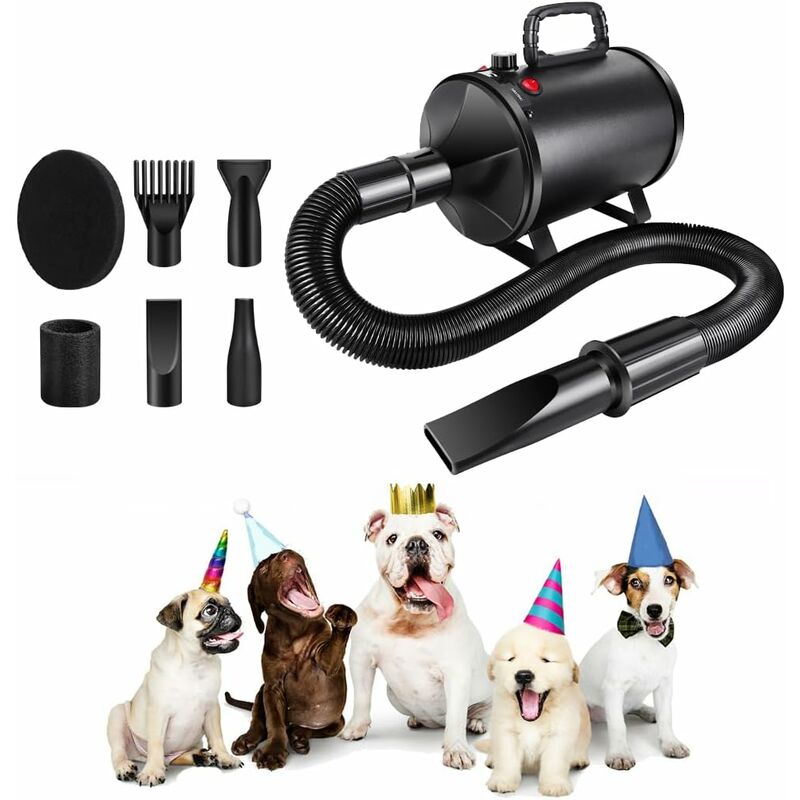 Hsha - Sèche pulseur-Cheveux pour Chien 2800W, Souffleur Chien pulseur Vitesse Continue, 2 Température: 35°c et 65°c, Sèche-Poils Toilettage pour