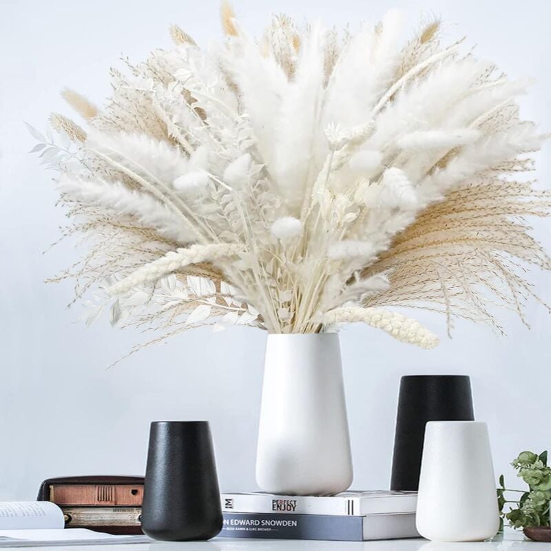 Séchées Naturelles Décoration, Bouquet Fleurs Séchées Pampa Fleurs de Décoration Boho Decoration pour Maison, Mariage, Chambre,Vacances, fête