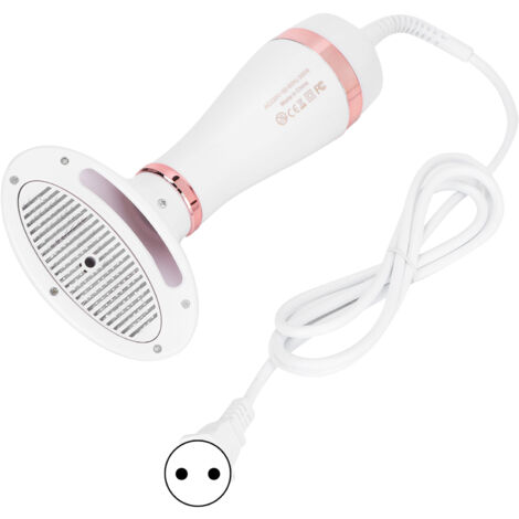 Séchoir Portable pour Chats et Chiens, 2 en 1 avec Température Réglable, Appareil de Toilettage pour Animaux de Compagnie, Prise UE 220V Doré