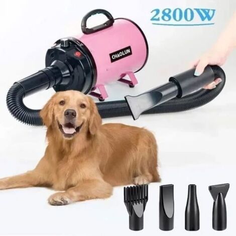 Séchoir Sèche-Poils Toilettage pour Chiens Chats Animaux 2800W - Chaleur et Vitesse Réglable,Fiche Standard française
