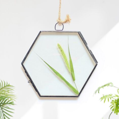 Sechseckiger Hänge-Glasbilderrahmen für Trockenblumen und Pflanzen mit Clip