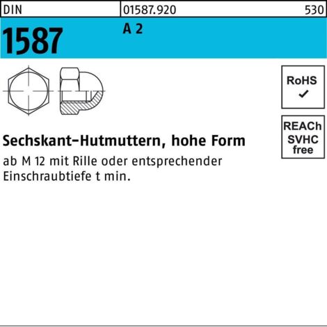 Sechskanthutmutter DIN 1587 M14 SW 22 A 2 10 Stück