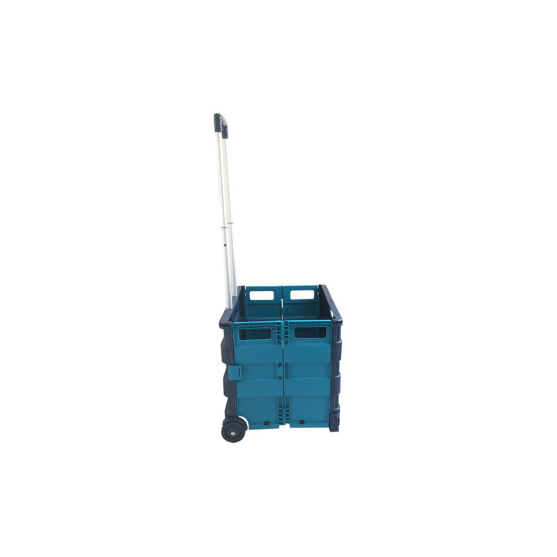 Seco SE-ZY-LC-BLUA Erbe incernierate blu/acqua per...