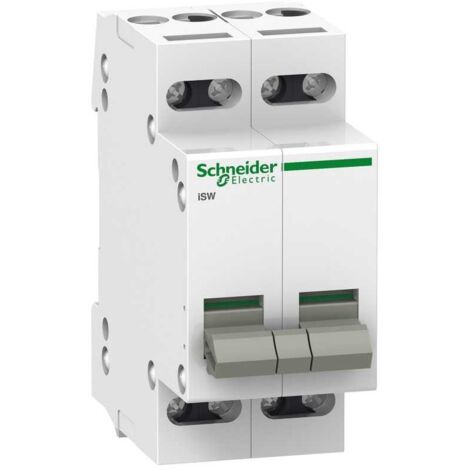 Section 4 Poli 32A 2 Moduli Schneider A9S60432
