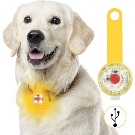 Sécurité LED Clignotant pour Chiens（couleur orange）, Chats - Lampe LED Rechargeable USB pour Chien, 3 Modes de Clignotant Lampes de Sécurité Imperméables pour Animaux de Compagnie