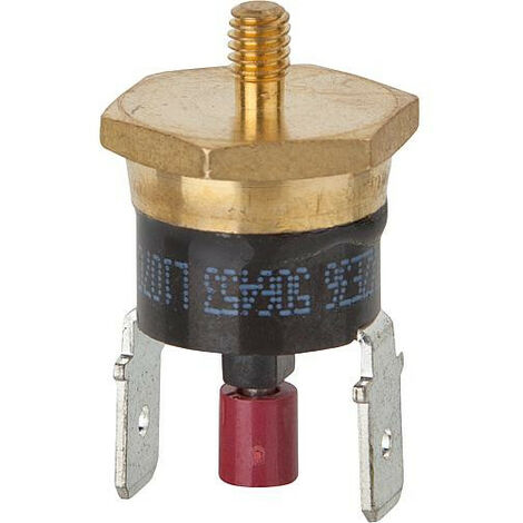 Securite thermique Gaz pour BUDERUS 7101094