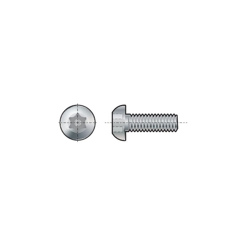 Qualfast - M8X12 A2 St/St Tamper Torx Button m/c Screw- you get 5