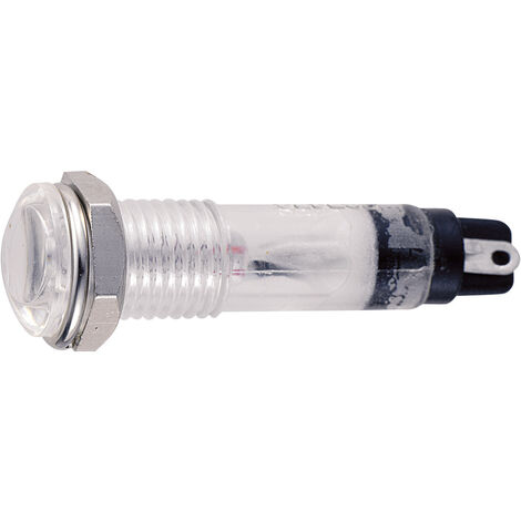Sedeco B-405 12V TRANSPARE Standard Signalleuchte mit Leuchtmittel    12 V Klar 1 St.