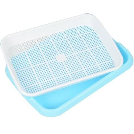 Seed Sprouter Tray Graines de germination Graines de blé Herbes Hydroponics Durable Plateau de germination pour jardin, maison, bureau