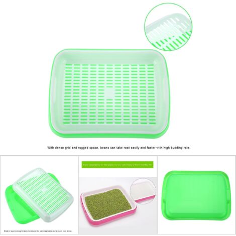 【Seedbox】Tray Hydroponique Double Pièces, Modèle 32x26x5cm, Pot de Culture Vert PE Haute Qualité, Kit Germination Légumes Fleurs Densité Réseau