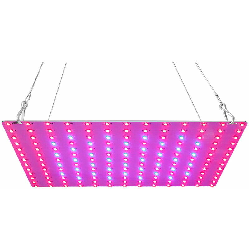 Senor - Led Élèvent La Lumière Rouge Bleu Spectre Complet Élèvent Des Lampes Le Panneau Led Élève La Lumière Pour Les Plantes Succulentes à Effet De
