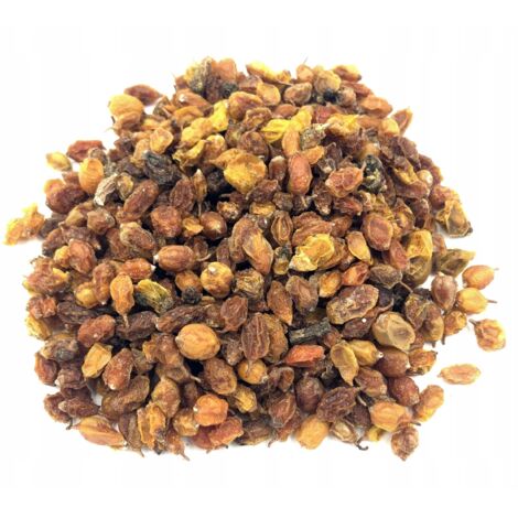 Seepferdchen 10 kg 100 % natürlich