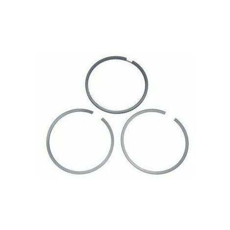 Segment Briggs et Stratton 590402