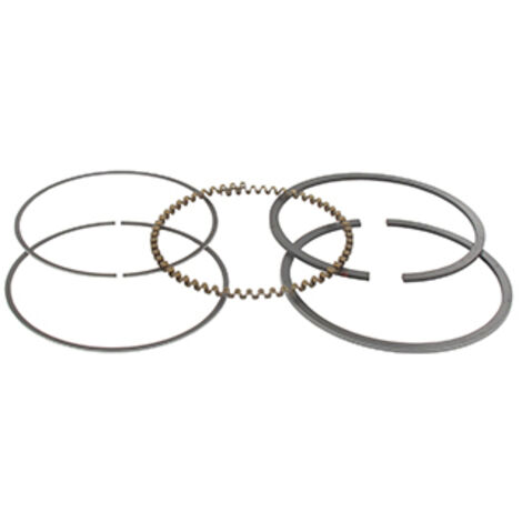 Segment Kawasaki Pour Modèle: Fe350 - Origine: 13008-6028. ( Origine : 130086028 Ou 13008-6028 )