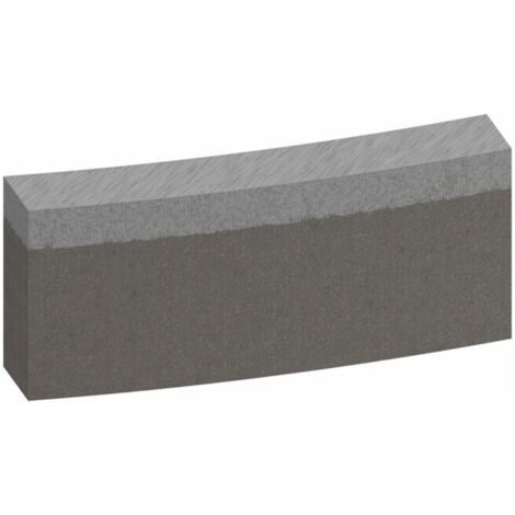 Segments Bosch pour trépan diamanté Standard pour béton 200 mm 12 10 mm 12 pièces