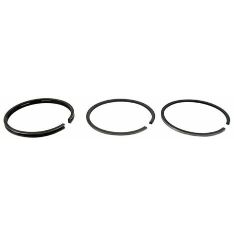 Segments BRIGGS et STRATTON 298984 modèles 90000 à 96000 - 92000 - 130000 à 131300