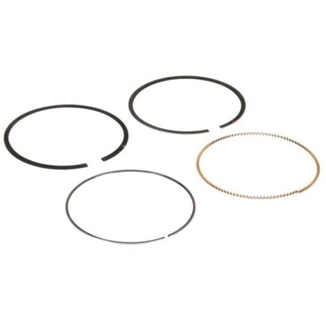 Segments BRIGGS ET STRATTON 594437