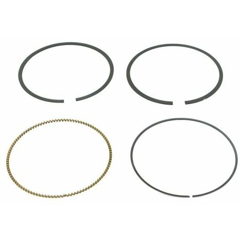 Segments Briggs et Stratton 792306 - 792308