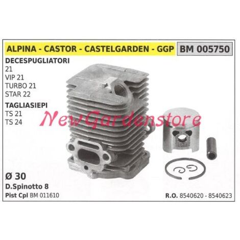 Segments de cylindre à piston ALPINA moteur de débroussailleuse 21 VIP21 TURBO 21 005750