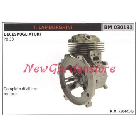 Segments de cylindre à piston LAMBORGHINI débroussailleuse PB 33 030191