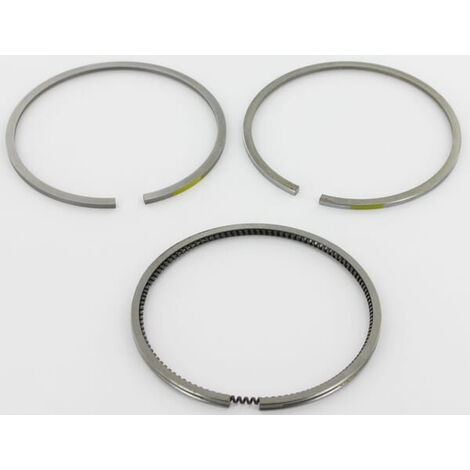 Segments LOMBARDINI 8211141