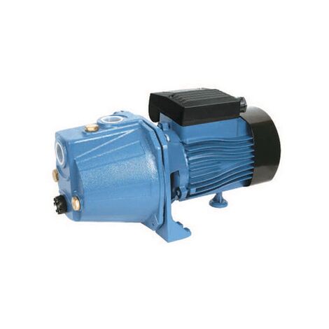 Selbstansaugende Elektropumpe 0,46 kW