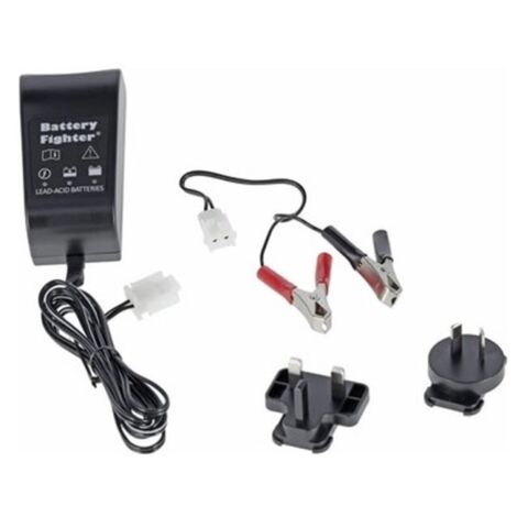 CASTELGARDEN Selbstfahrendes Batterieladegerät 12V - 200mAh GGP - 1134-9250-01