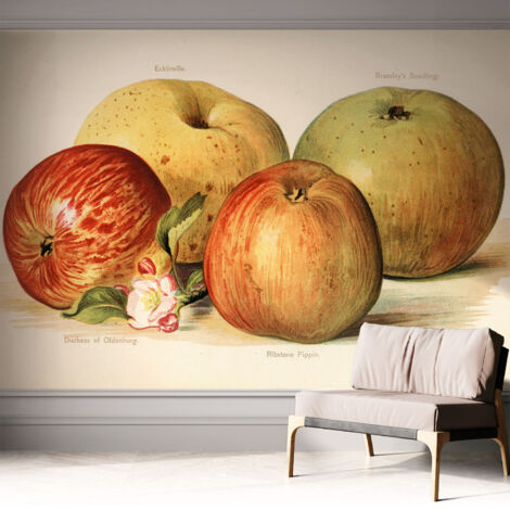 Selbsthaftend Tapete für Wohnzimmer Schlafzimmer Küche - Wanddekoration  Äpfel und Blumen 312x219 cm