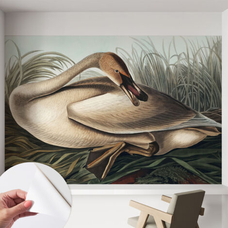 Selbsthaftend Tapete für Wohnzimmer Schlafzimmer Küche - Wanddekoration  Natürlicher Vogel 152x104 cm