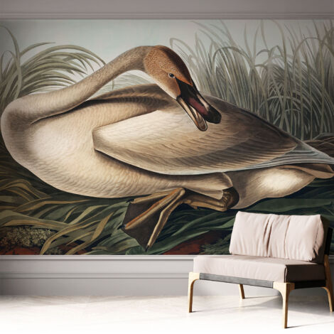 Selbsthaftend Tapete für Wohnzimmer Schlafzimmer Küche - Wanddekoration  Natürlicher Vogel 312x219 cm