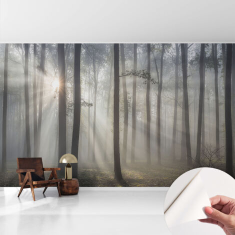 Selbstklebend Tapete - abwaschbar - Arbeitszimmer - Esszimmer- Top Qualität Ätherischer Wald 416x254 cm