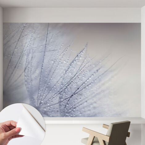 Selbstklebend Tapete - abwaschbar - Arbeitszimmer - Esszimmer- Top Qualität Bespritzter Löwenzahn 152x104 cm