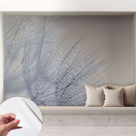 Selbstklebend Tapete - abwaschbar - Arbeitszimmer - Esszimmer- Top Qualität Bespritzter Löwenzahn 208x146 cm