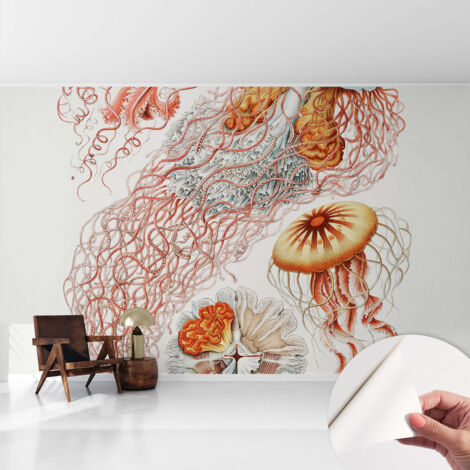 Selbstklebend Tapete - abwaschbar - Arbeitszimmer - Esszimmer- Top Qualität Fantasievolle Quallen 416x254 cm