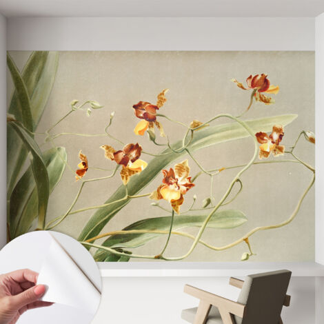 Selbstklebend Tapete - abwaschbar - Arbeitszimmer - Esszimmer- Top Qualität Klassische Orchideen 152x104 cm