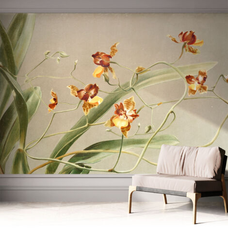 Selbstklebend Tapete - abwaschbar - Arbeitszimmer - Esszimmer- Top Qualität Klassische Orchideen 312x219 cm