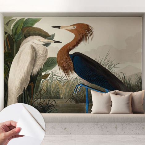 Selbstklebend Tapete - abwaschbar - Arbeitszimmer - Esszimmer- Top Qualität Vögel in Pflanzen 208x146 cm