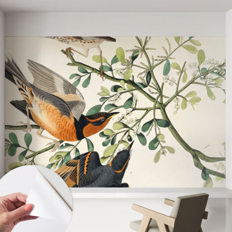 Selbstklebend Tapete - abwaschbar - Raumgestaltung  Schlafzimmer Wohnzimmer Tapete Bunte Vögel 152x104 cm