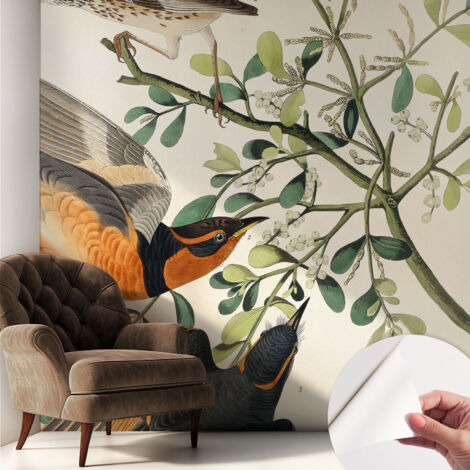 Selbstklebend Tapete - abwaschbar - Raumgestaltung  Schlafzimmer Wohnzimmer Tapete Bunte Vögel 250x250 cm