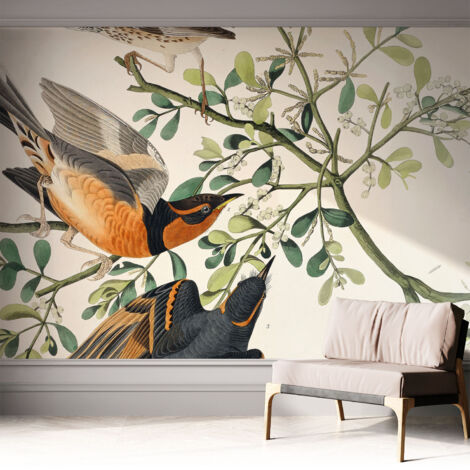 Selbstklebend Tapete - abwaschbar - Raumgestaltung  Schlafzimmer Wohnzimmer Tapete Bunte Vögel 312x219 cm