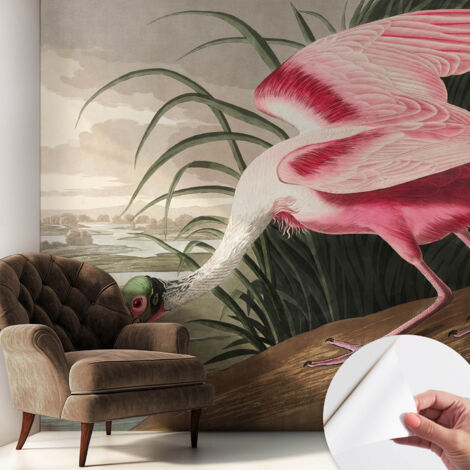 Selbstklebend Tapete - abwaschbar - Raumgestaltung  Schlafzimmer Wohnzimmer Tapete Exotischer Vogel 250x250 cm