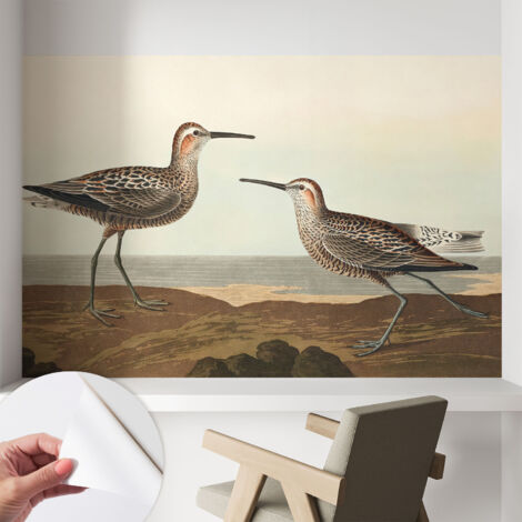 Selbstklebend Tapete - abwaschbar - Raumgestaltung  Schlafzimmer Wohnzimmer Tapete Vogelsilhouetten 104x70 cm