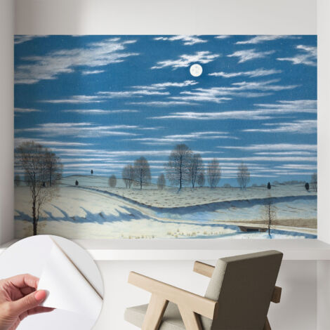 Selbstklebend Tapete - abwaschbar - Raumgestaltung  Schlafzimmer Wohnzimmer Tapete Winterlandschaft 104x70 cm
